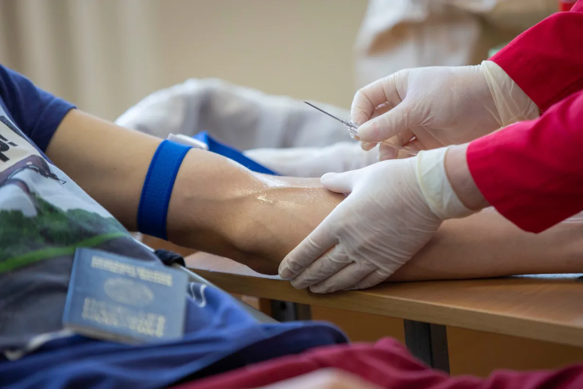 A gloved clinician placing a needle for a blood draw in a patient's arm, with a tourniquet tied above the elbow.