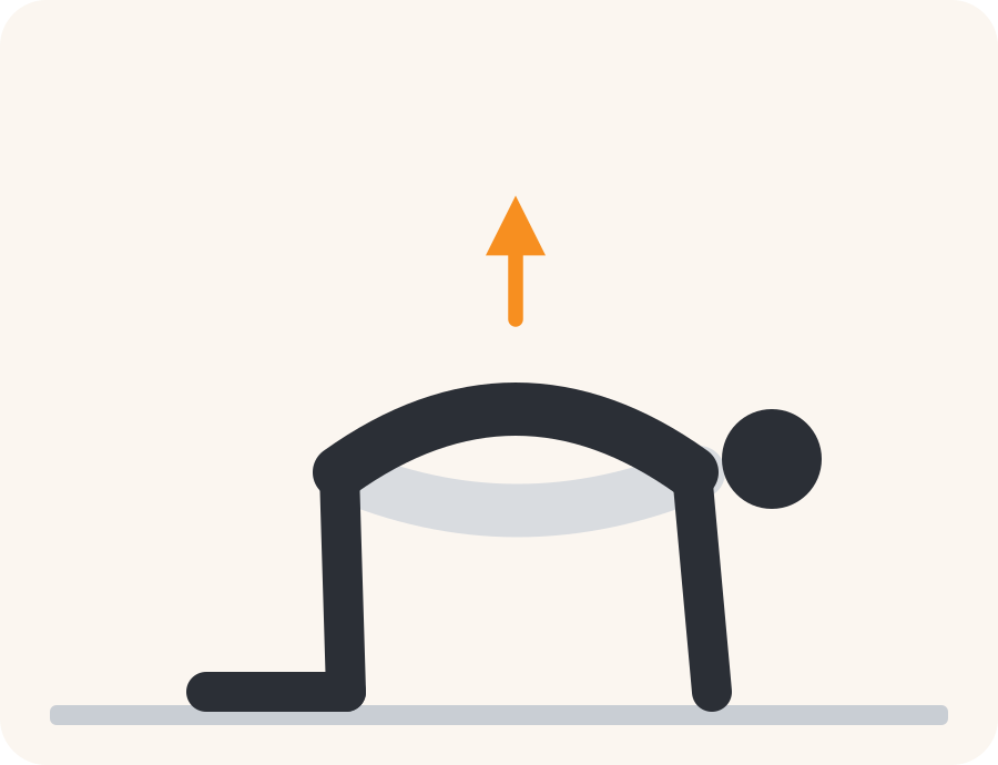 Line drawing of the cat and cow exercise. The pale figure is the starting position, the dark figure is the finish, and the orange arrow shows the movement.
