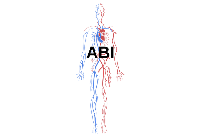 Measura arm and ankle blood flow check
